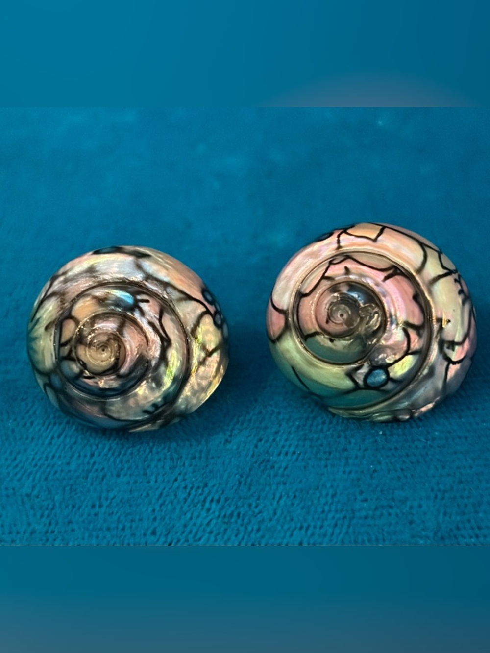 🐚Artisan Hand-Painted Operculum Shell Studs - Iridescent Folk Art ✨ 60s/70s